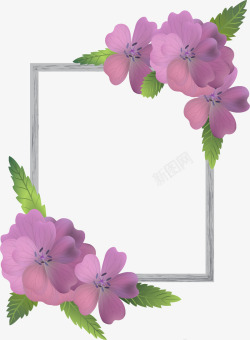 紫花封面紫色花朵装饰边框高清图片