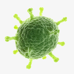 各种癌症细胞绿色异体癌细胞高清图片