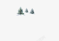 雪松松树冬天下雪素材