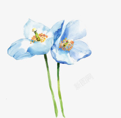 蓝色手绘水墨花朵素材