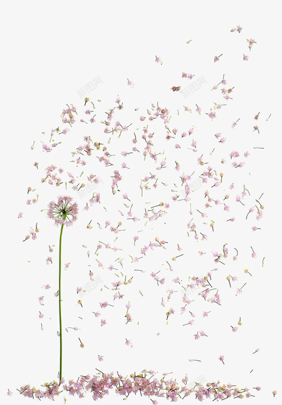飘落的花朵png免抠素材_新图网 https://ixintu.com 唯美 文艺 清新 漂浮的花瓣 粉色花瓣 花瓣