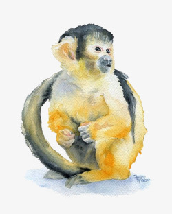 金丝猴可爱的金丝猴高清图片
