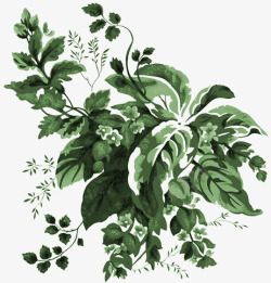 绿色清新花纹植物淡雅素材