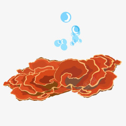 海洋泡泡海草生物矢量图素材