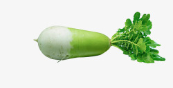 环保蔬菜带叶子的白萝卜高清图片