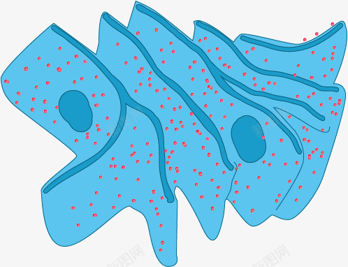 生物内质网png免抠素材_新图网 https://ixintu.com 内质网 教学 生物 细胞结构 蓝色