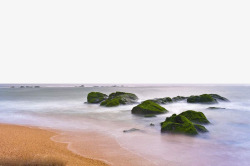 沙滩海景白菊花在海边冲洗的石头高清图片