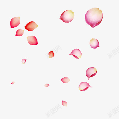 粉红色花瓣花朵png免抠素材_新图网 https://ixintu.com 粉红色 素材 花朵 花瓣