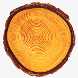 棕色树皮纹理背景图片树的年轮高清图片