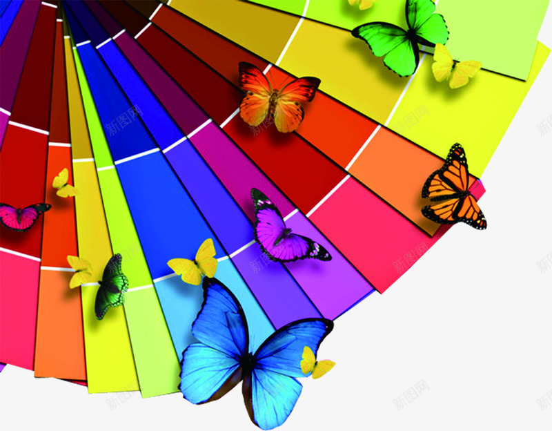 彩色蝴蝶和彩色木板png免抠素材_新图网 https://ixintu.com 彩色 木板 蝴蝶