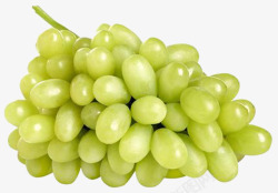 葡萄白白葡萄水果高清图片