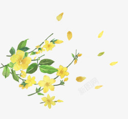 春季飘散的黄色花朵树叶装饰素材