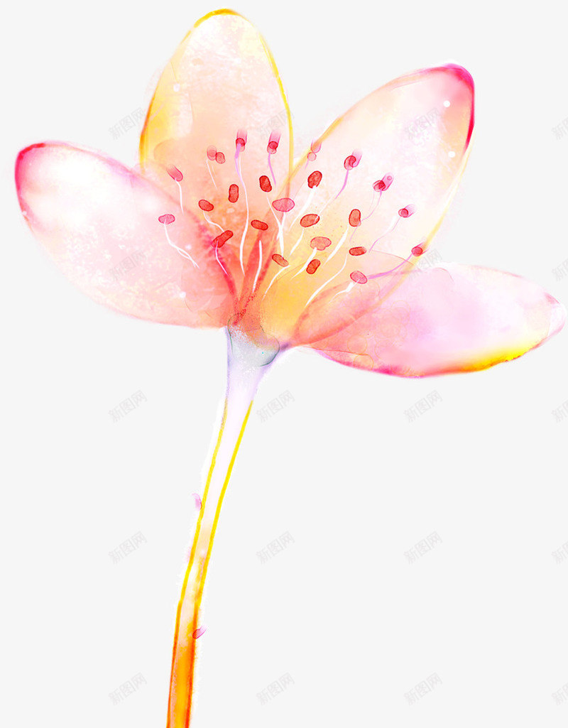 淡雅粉色花朵植物png免抠素材_新图网 https://ixintu.com 植物 淡雅 粉色 花朵