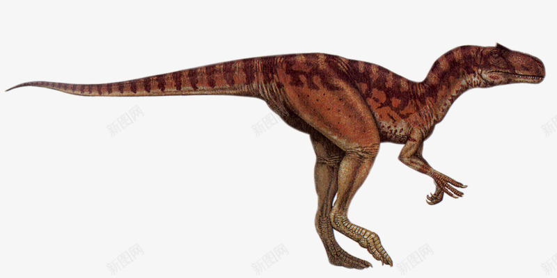 恐龙png免抠素材_新图网 https://ixintu.com 侏罗纪 动物 大型恐龙 恐龙 灭绝生物
