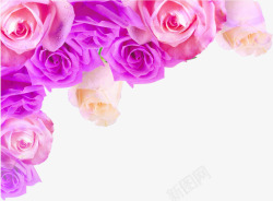 粉色淡雅节日花朵边角装饰素材