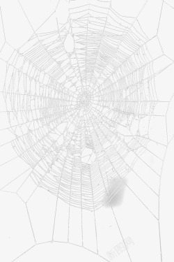 蜘蛛丝背景蜘蛛网高清图片