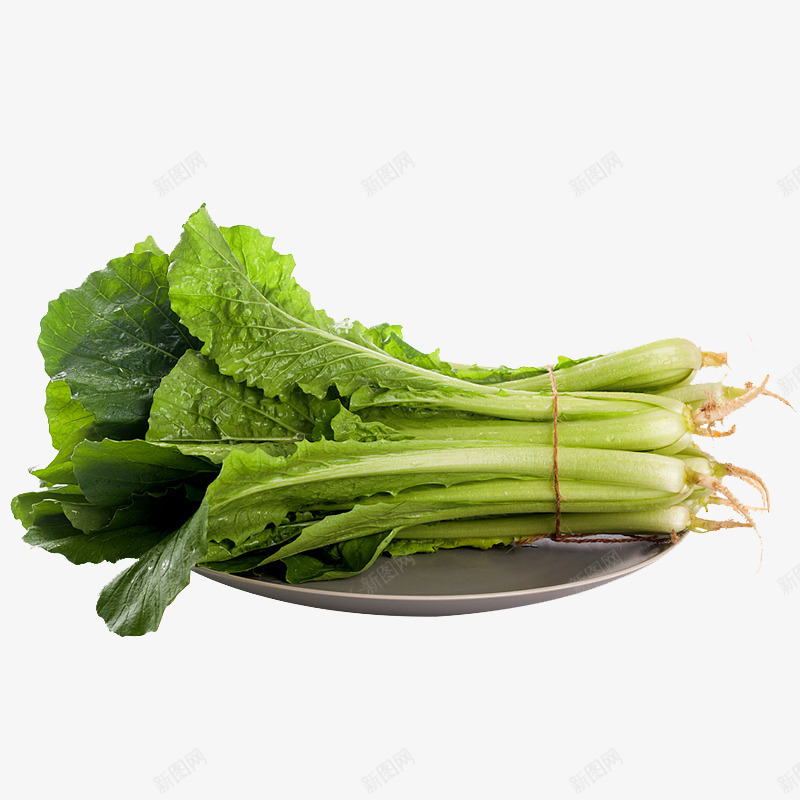 新鲜脆嫩小白菜png免抠素材_新图网 https://ixintu.com 小白菜 白菜 绿蔬 菜 蔬菜