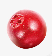 红色质感新鲜的蔓越莓png免抠素材_新图网 https://ixintu.com 新鲜 红色 质感