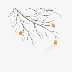 冬天树枝风景图素材