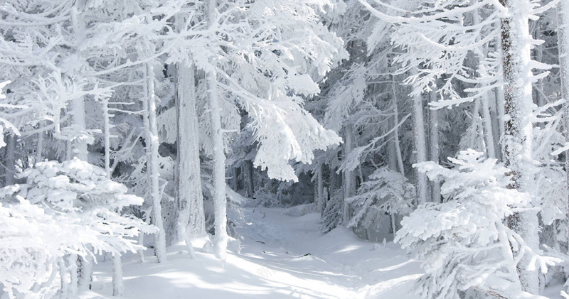 白色冬天的雪景摄影png免抠素材_新图网 https://ixintu.com 冬天 摄影 白色 雪景