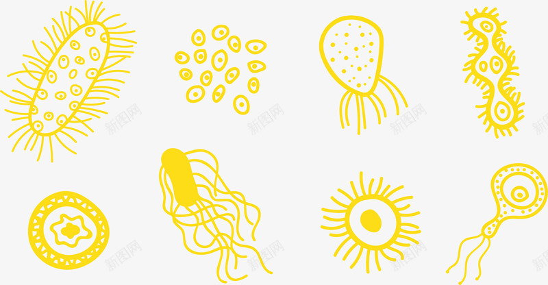 金色细胞png免抠素材_新图网 https://ixintu.com 卡通 微生物 金色