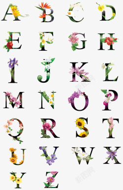 W字母艺术字鲜花花纹字母合集高清图片