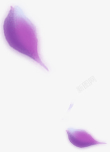 素材修饰花瓣漂浮紫色卡通飞舞花瓣修饰高清图片