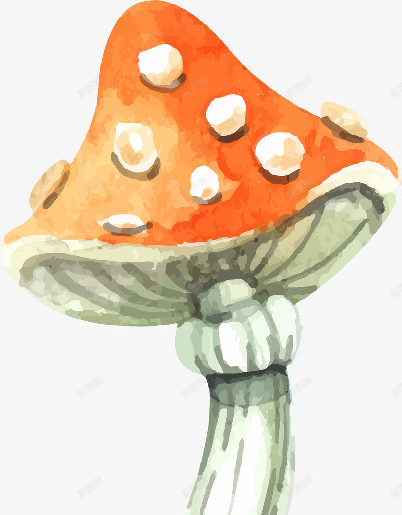 万圣节蘑菇png免抠素材_新图网 https://ixintu.com 万圣节物品 水彩手绘 涂鸦 矢量图案 蘑菇 装饰