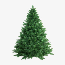 圣诞绿松树高清图片