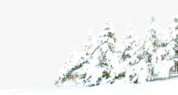 方框中的树雪中的树高清图片