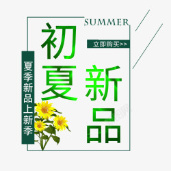 2019年初夏新品素材