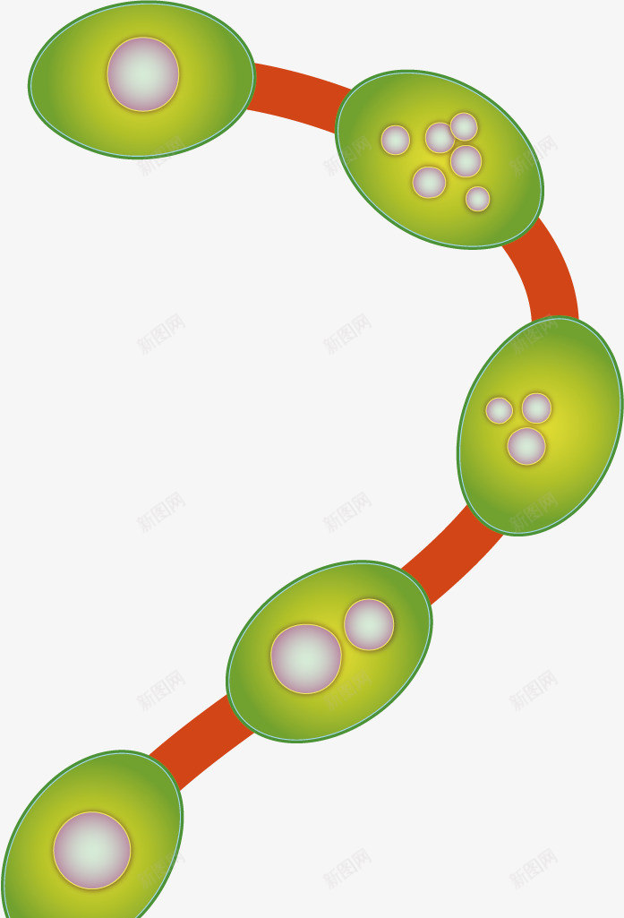 绿色创意细胞矢量图ai免抠素材_新图网 https://ixintu.com 创意 卡通 微生物 手绘 水彩 淋巴 生物结构 细胞 细胞结构 结构细胞 绿色 设计 矢量图