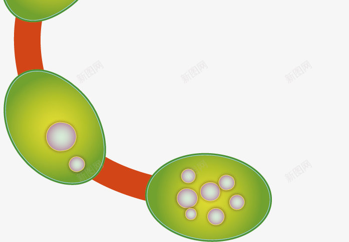 绿色创意细胞矢量图ai免抠素材_新图网 https://ixintu.com 创意 卡通 微生物 手绘 水彩 淋巴 生物结构 细胞 细胞结构 结构细胞 绿色 设计 矢量图