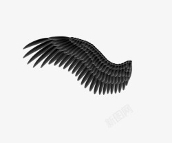 黑色的鹰恶魔翅膀高清图片