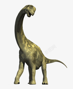 恐龙远古时代恐龙的微笑高清图片