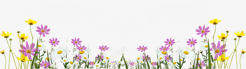 环保春季黄粉色花朵png免抠素材_新图网 https://ixintu.com 春季 环保 粉色 花朵