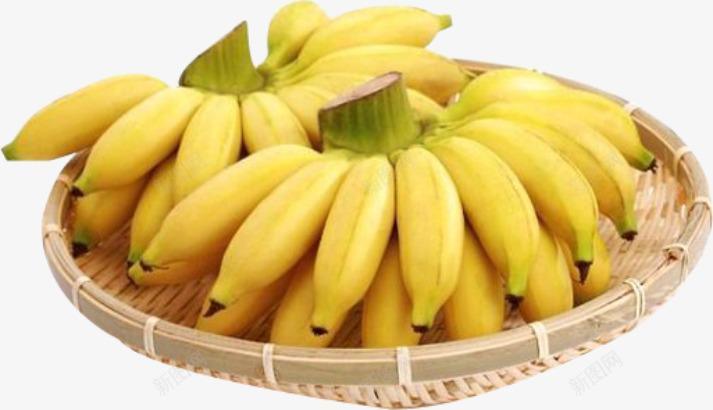 芭蕉香蕉水果png免抠素材_新图网 https://ixintu.com 夏天 热带水果 芭蕉 香蕉