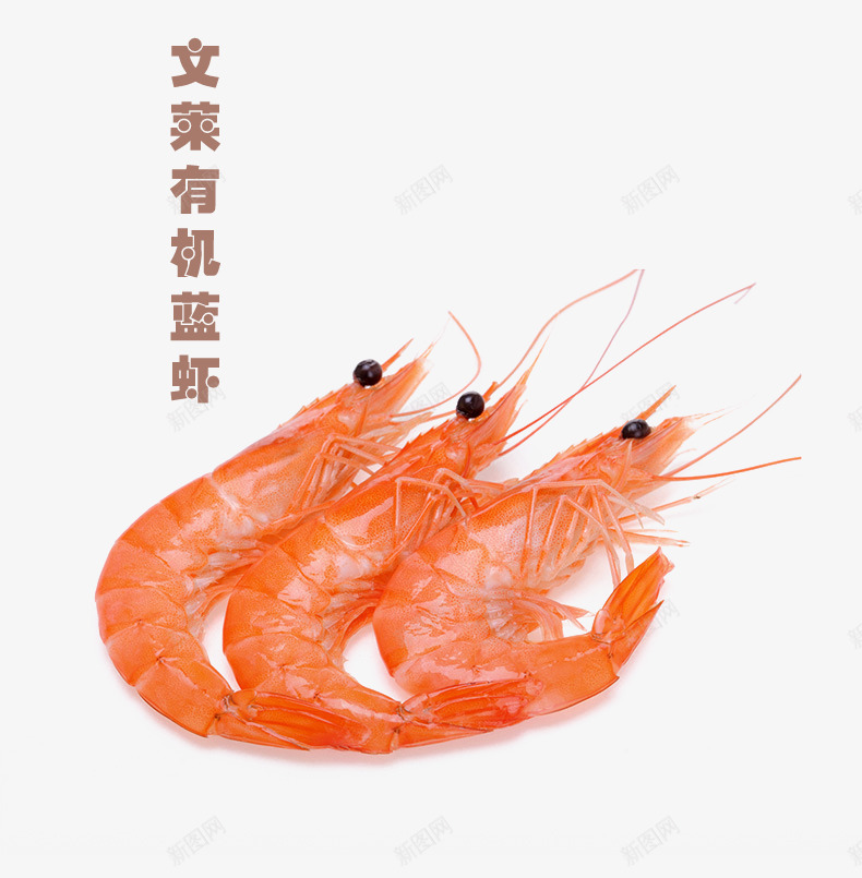 文莱有机蓝虾psd免抠素材_新图网 https://ixintu.com 生物 蓝虾 虾子 食物