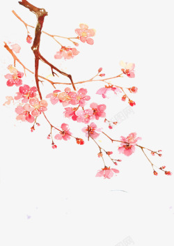 粉色花朵图案插画中国风粉色花枝花瓣高清图片