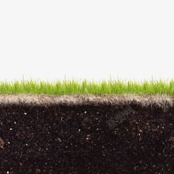 植物土壤横切面绿色草皮横剖面高清图片