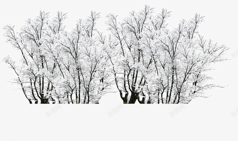 唯美创意冬天中的雪景png免抠素材_新图网 https://ixintu.com 创意 唯美 简约 设计 雪景