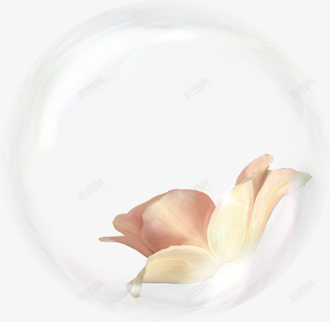 梦幻气泡png免抠素材_新图网 https://ixintu.com PNG 梦境 气泡 水泡 素材 花朵 装饰 透明