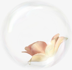 水泡花朵梦幻气泡高清图片