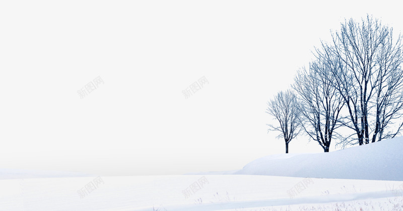 美丽的雪景png免抠素材_新图网 https://ixintu.com 冬天 冬季 冬季素材 树木 白色背景素材 雪地 雪景素材 雪花