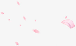 粉红花瓣不规则漂浮素材