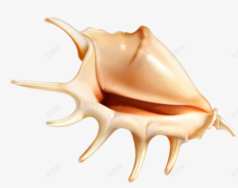 海螺装饰png免抠素材_新图网 https://ixintu.com 卡通海螺 海螺 矢量装饰 装饰 贝壳