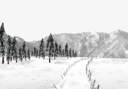 雪地圣诞节图雪地里的小路高清图片