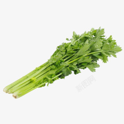 绿色灰色芹菜蔬菜芹菜透明高清图片