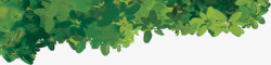 灌木丛绿色灌木丛装饰高清图片