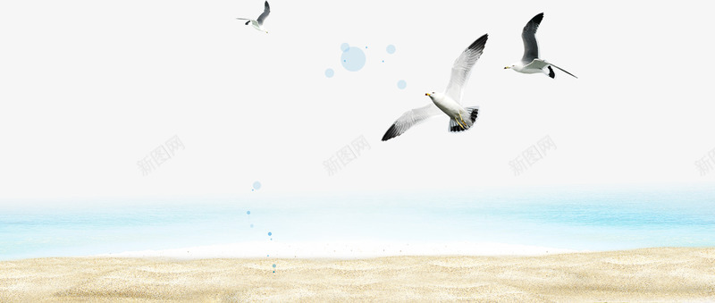 海鸥沙滩海水元素psd免抠素材_新图网 https://ixintu.com 三亚风景 大海 沙滩 海鸥 矢量分层